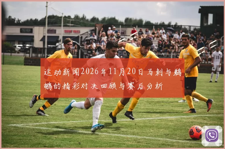 运动新闻2026年11月20日马刺与鹈鹕的精彩对决回顾与赛后分析
